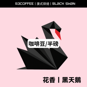 黑天鵝 Black Swan #淺焙 #澳式烘焙 明杏生技