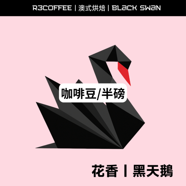 黑天鵝 Black Swan #淺焙 #澳式烘焙 明杏生技