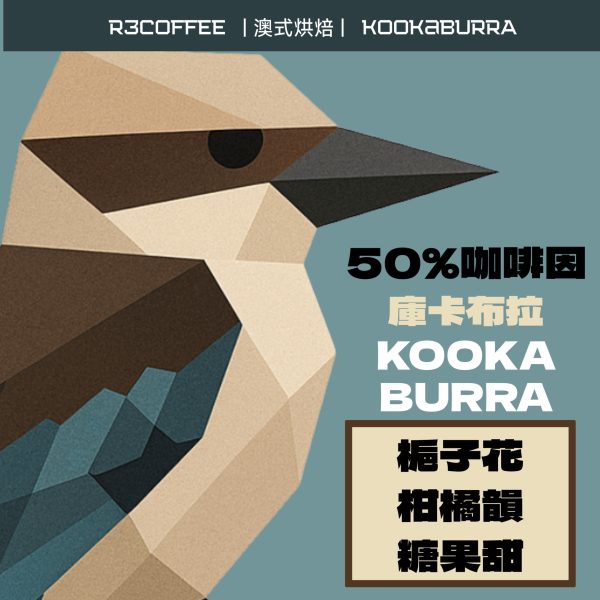 【R3 Coffee Roasters｜開拓者咖啡烘焙所】掛耳包10包