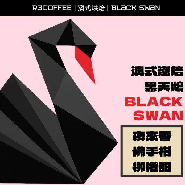 【R3 Coffee Roasters｜開拓者咖啡烘焙所】掛耳包10包