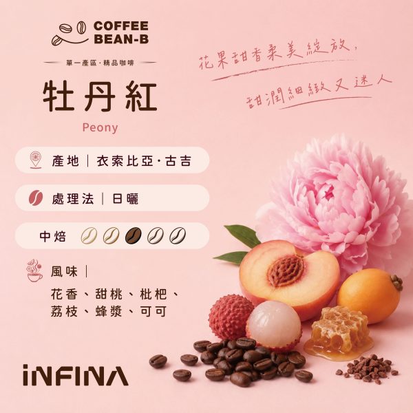 1000055002 INFINA 濾掛咖啡 醉香/格蕾娜藝妓/牡丹紅/蜜檸檬/耶加雪菲/西達摩/貴妃/曼特寧