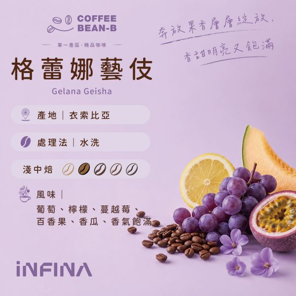 1000055005 INFINA 濾掛咖啡 醉香/格蕾娜藝妓/牡丹紅/蜜檸檬/耶加雪菲/西達摩/貴妃/曼特寧