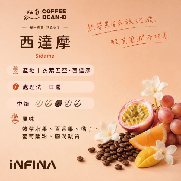 1783394842342 INFINA 濾掛咖啡 醉香/格蕾娜藝妓/牡丹紅/蜜檸檬/耶加雪菲/西達摩/貴妃/曼特寧